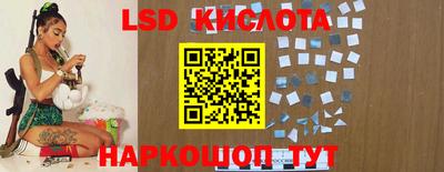 стаф Кингисепп