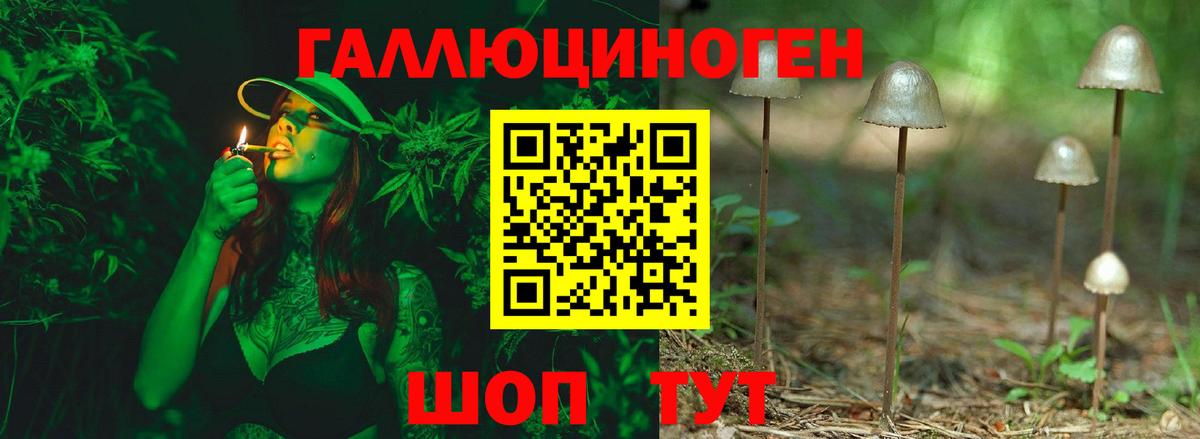 Псилоцибиновые грибы Psilocybe  Вход с VPN  Краснодар  Псилоцибиновые грибы мицелий 